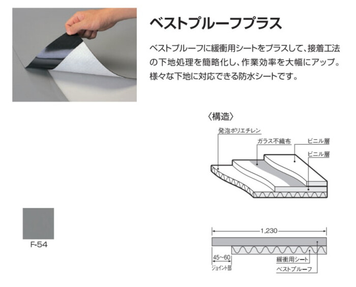 ベスト プルーフ コレクション プラス